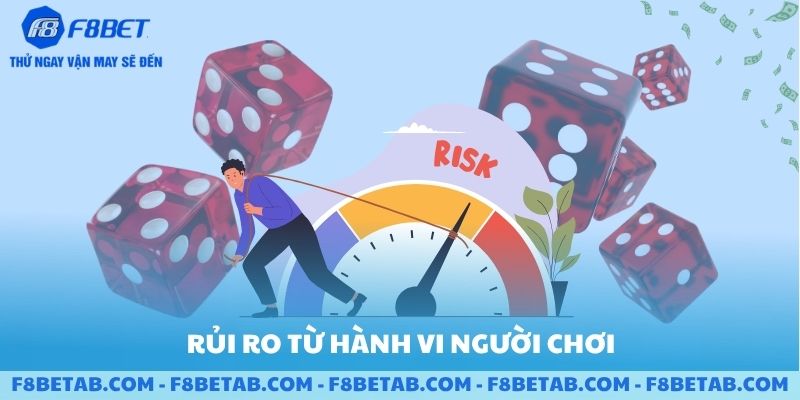 Rủi ro từ hành vi người chơi