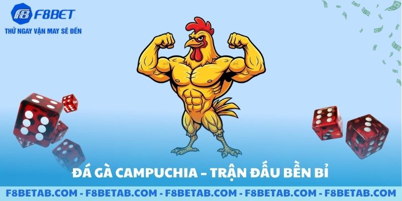 Đá gà campuchia trận đấu bền bỉ
