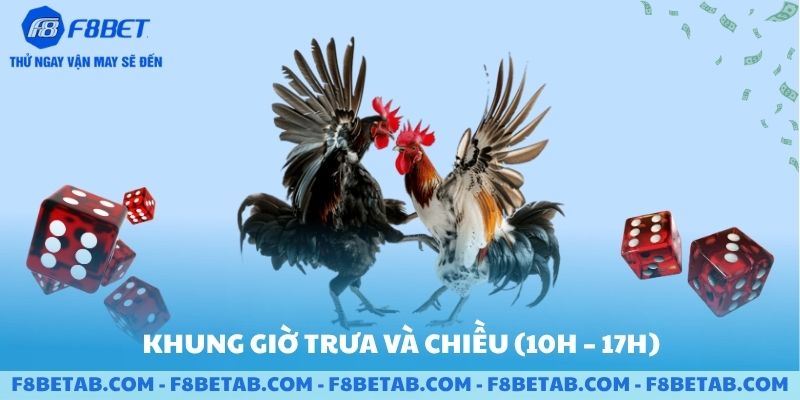 Khung giờ trưa cho game đá gà trên F8BET