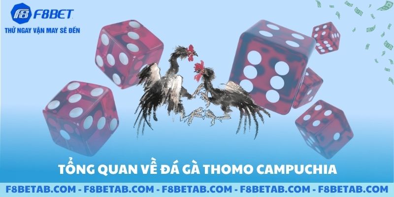 Tổng quan về đá gà thomo campuchia trên F8BET