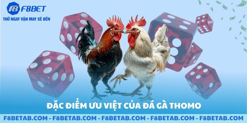 Đặc điểm ưu việt của đá gà thomo