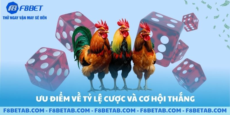 Ưu điểm về tỷ lệ cược và cơ hội thắng