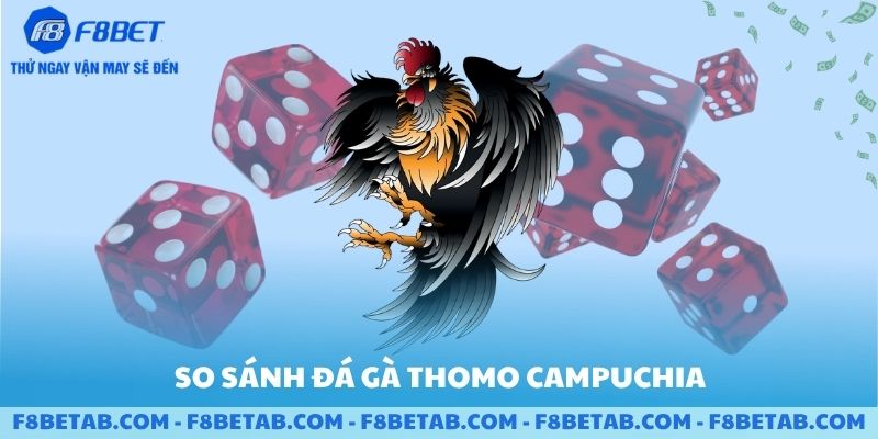So sánh đá gà campuchia và đá gà khác