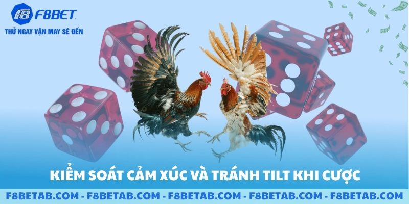 Kiểm soát cảm xúc và tránh tilt khi cược