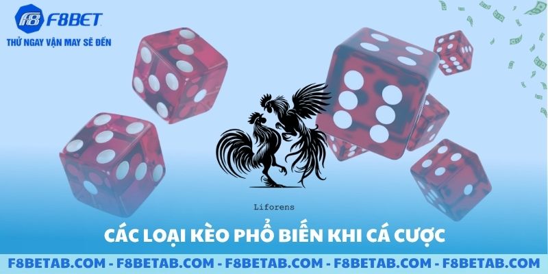 Các loại kèo phổ biến khi cá cược