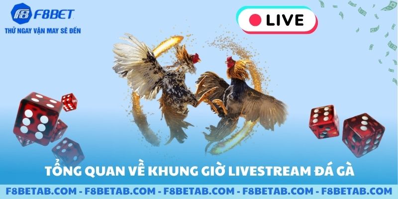 Tổng quan về các khung giờ livestream đá gà